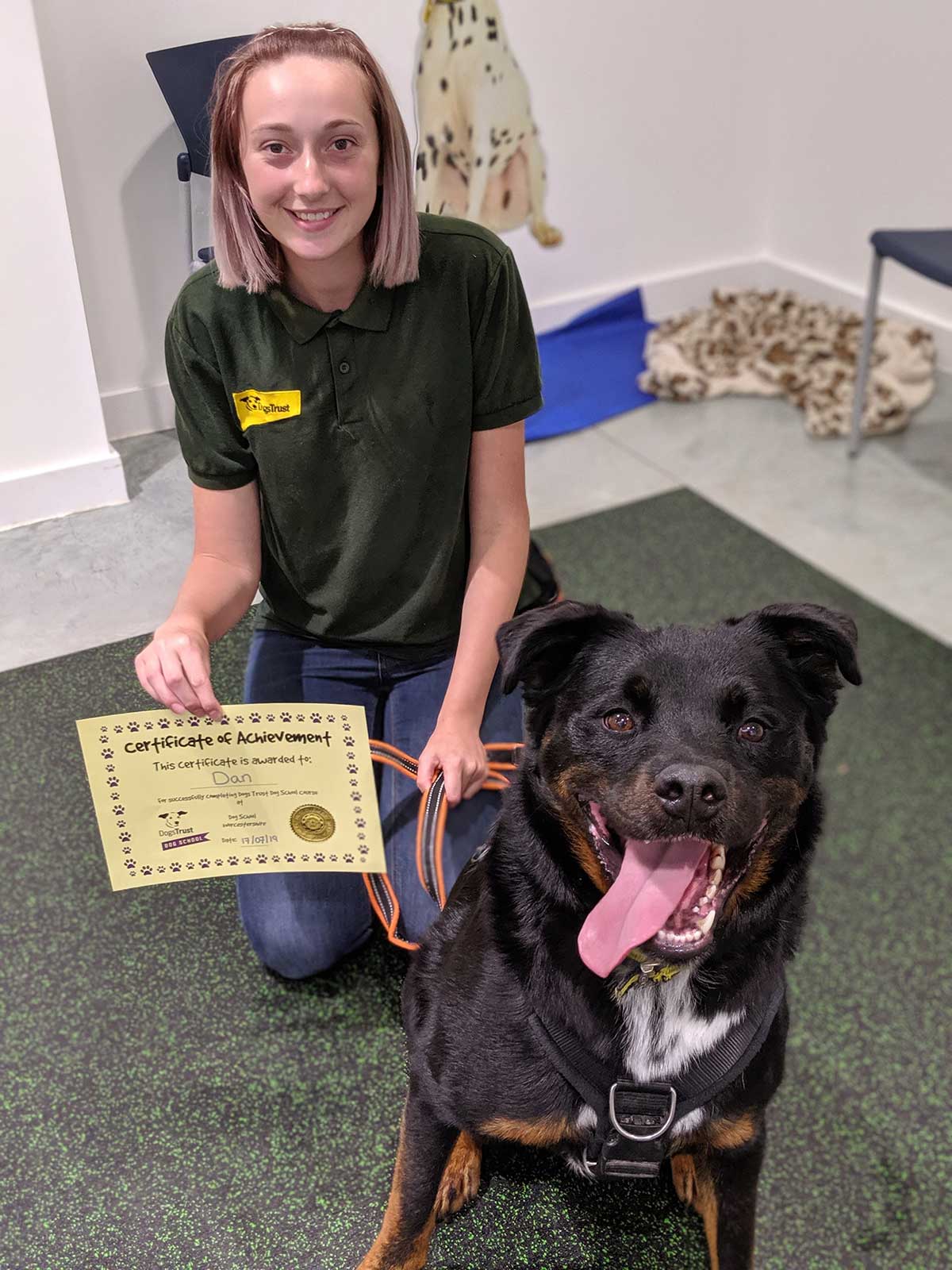 Long-term Dogs Trust lodger turns superstar - Companion Life