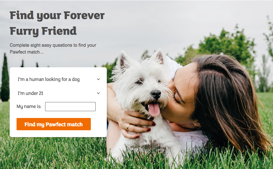 Sainsbury’s Bank Pet Insurance launch new interactive tool to help pet