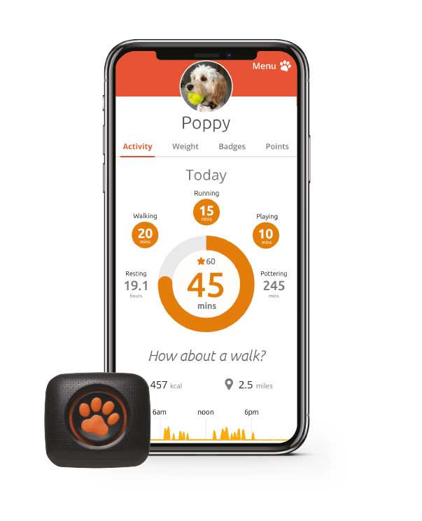 Pitpat app store