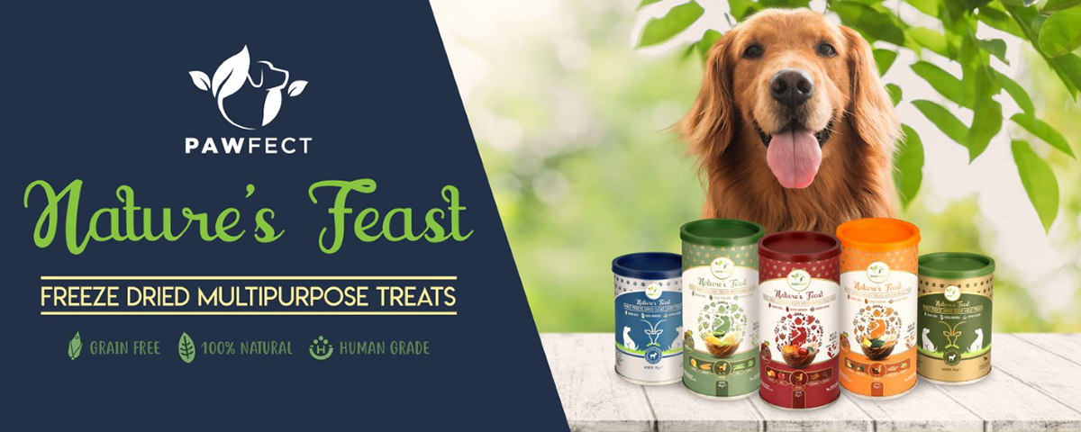 Natures feast hotsell dog food