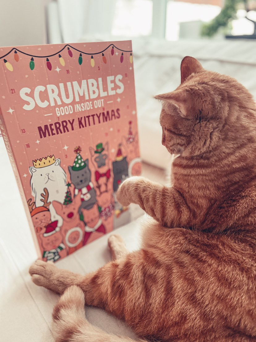 Countdown to Kittymas with Scrumbles Advent Calendars Companion Life