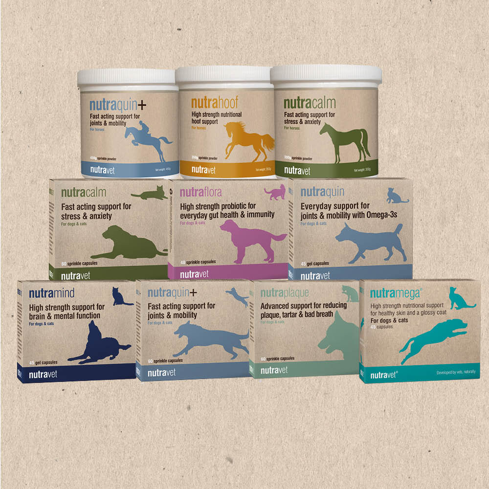 Nutraquin plus shop for dogs