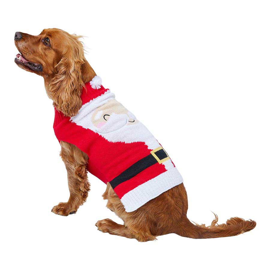 8 of the best Christmas jumpers for dogs - Companion Life