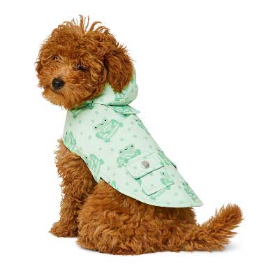 Pets At Home launches brand new and exclusive puppy range - Companion Life