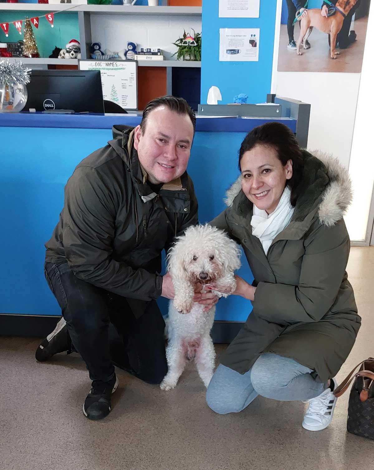 10-year-old-dog-reunited-with-his-owners-on-new-year-s-day-thanks-to